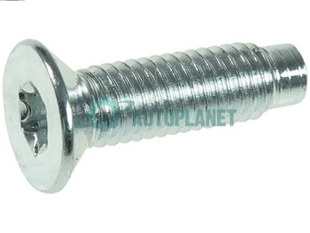 Болт з головкою системи TORX з чорного металу AS ARS3026S
