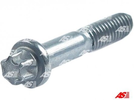 Болт з головкою системи TORX з чорного металу AS SP1003