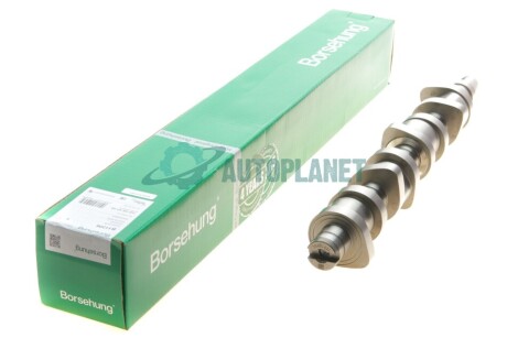 Розподільчий вал Borsehung B11306