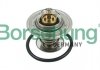 Термостат VW T4/T5/Audi A3/A6 1.9D/1.9/2.0TDI/2.0 90- (від 87 до 102 °C) Borsehung B13141 (фото 1)