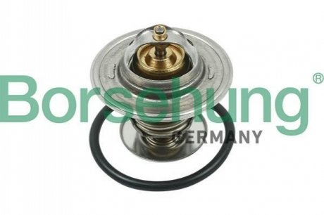 Термостат VW T4/T5/Audi A3/A6 1.9D/1.9/2.0TDI/2.0 90- (від 87 до 102 °C) Borsehung B13141 (фото 1)