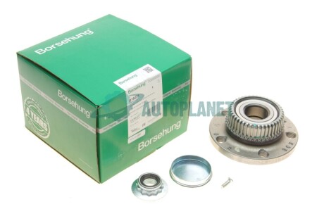 Подшипник ступицы (задней) Skoda Octavia 97-10/VW Bora/Golf IV 98-05 (к-кт) Borsehung B19231