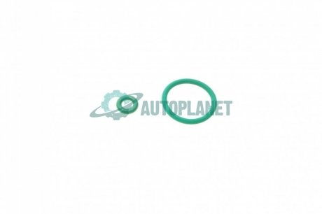Кольцо уплотнительное (топливная система) Audi/Citroen/Peugeot/Renault/VW (к-кт 2 шт) BOSCH 1 287 010 001