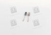 CARGO BX2022 (фото 3)