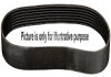 JP GROUP ремінь 5PK1300 AUDI A4/A6 1,6/1,8T VW Passat 1,6-2,0 SKODA Superb 1,8T/2,0 Classic line 1118101700 (фото 1)