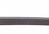Ремень генератора Daewoo Lanos 1.6 16V 97-/BMW 5 (E39) 3.5/4.4i 96-03 (M62) Contitech 5PK1005 (фото 3)