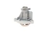 Помпа води Seat Cordoba/Ibiza/Toledo/Skoda Fabia/Rapid/Roomster/VW Polo 1.2/1.2 12V 02- Contitech WPS3040 (фото 9)