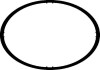 Прокладка колектора впускного VW Caddy III 1.6i 04-15 CORTECO 026269H (фото 1)