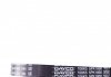 Ремінь генератора Hyundai Accent/Kia Rio 1.5 CRDi 05- DAYCO 5PK1800 (фото 2)