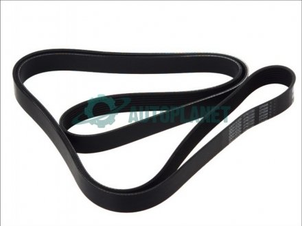 Дорожный пас DAYCO 8PK2555HD