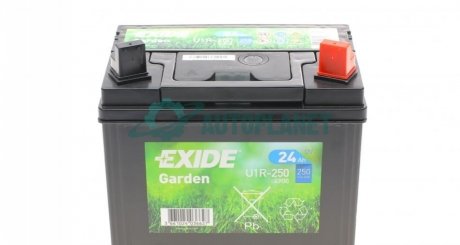 Аккумуляторная батарея EXIDE 4900