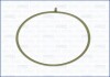 Прокладка впускного коллектора FORD Focus/ Mondeo/ Kuga Ajusa FAG 01110300 (фото 1)