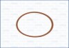 Прокладка впускного коллектора BMW 3 (E46, E90) 2.0-3.0d Ajusa FAG 13148400 (фото 1)
