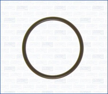 Прокладка термостата FAG 16024600