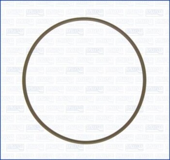 Кільце гумове FAG 16031100