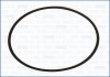 Прокладка впускного коллектора RENAULT GRAND SCENIC II 1.9 dCi, MEGANE II 1.9 dCi Ajusa FAG 24034300 (фото 1)