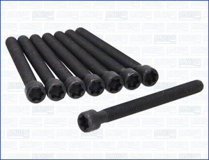 Комплект болтів з головкою системи TORX з чорного металу FAG 81055700