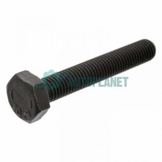 Болт коленвала VW Golf/ Jetta/ Passat/ Polo (M10) FEBI BILSTEIN 18160