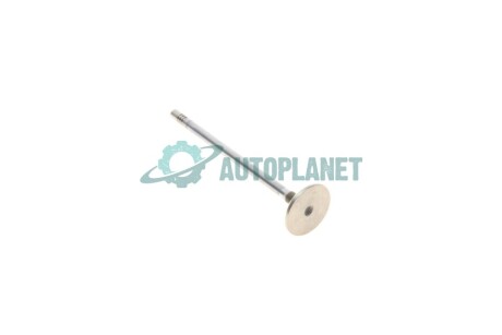 Клапан (впуск) Iveco Daily/Fiat Ducato 2.3JTD 06- Fiat/Alfa/Lancia 504069199 (фото 1)