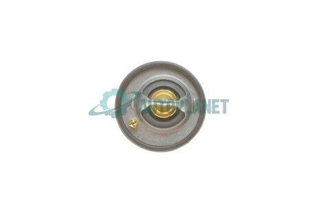 Термостат FORD 96MM8575A1A