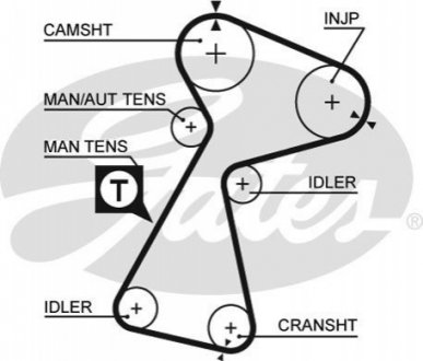 Ремень ГРМ Gates 5561XS