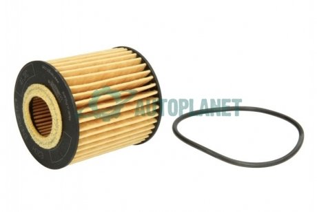 Фильтр масляный HENGST FILTER E20HD79 (фото 1)