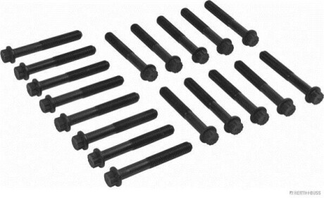 Комплект болтів з головкою системи TORX з чорного металу Herth+buss-elparts J1285014
