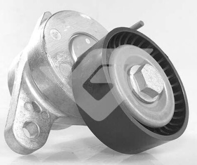 Натяжний механізм HUTCHINSON T0681