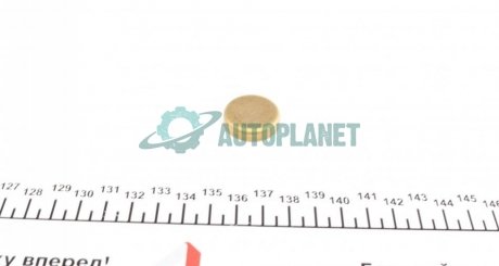 Заглушка блока циліндрів (d=24,3mm) Латунь/Brass IMPERGOM 40958 (фото 1)