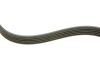 Комплект ремня генератора Land Rover Freelander 2.0 Td4 4x4 00-06 (5PK875/5PK2030) INA 529 0253 10 (фото 6)