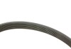 Комплект ремня генератора Citroen Jumper/Peugeot Boxer 2.2 HDi 06- (6PK1640/4EPK922) INA 529 0322 10 (фото 3)