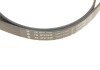 Комплект ремня генератора Citroen Jumper/Peugeot Boxer 2.2 HDi 06- (6PK1640/4EPK922) INA 529 0322 10 (фото 4)