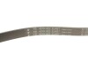 Комплект ремня генератора Citroen Jumper/Peugeot Boxer 2.2 HDi 06- (6PK1640/4EPK922) INA 529 0322 10 (фото 8)