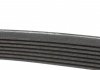 Комплект ременя генератора Iveco Daily 2.3 JTD 02-, (4EPK903 + 7PK1325) INA 529 0386 10 (фото 13)