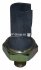Датчик тиску оливи LT 2.5TDI (AGX/ANJ/APA/BBE/BBF) Classic line 1193500500 (фото 1)