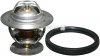 Термостат Ford Escort/Focus/Mondeo/Scorpio/Transit 1.3-2.9 86-15 (92C) з прокладкою Classic line 1514600310 (фото 1)