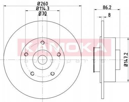 Тормозные диски с подшипником крашеные. RENAULT MEGANEIII 08-/SCENIC/GRAND SCENIC III 09- KAMOKA 1031064 (фото 1)