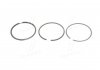 Кольца поршневые VAG 79.5 (1.75/2/4)(выр-во) KOLBENSCHMIDT 800000911000 (фото 1)