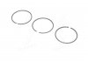 Кольца поршневые MOVANO/LAGUNA/MASTER 2.2 DTi/Dci 00- (87mm/STD) KOLBENSCHMIDT 800051010000 (фото 3)
