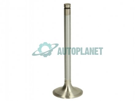Клапан впускной MAHLE / KNECHT 209 VE 31294 000