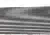 Радиатор охлаждения Skoda Octavia/VW Golf IV 1.4-2.8/1.9TDI (Economy Class) NRF 509529A (фото 1)