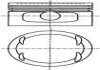 Поршень з кільцями OPEL 79.50 1.6I 16V С16XE/X16XE/X16XEL NURAL 87-307807-10 (фото 1)