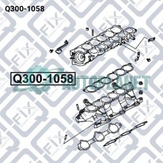 Прокладання впускного колектора Q-fix Q3001058