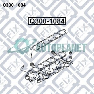 Прокладання впускного колектора Q-fix Q3001084