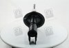 Амортизатор подв. Fiat Doblo 01- передн. газ. RIDER RD.3470.334.631 (фото 4)