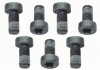 Болт з шестигранною головкою SACHS 1874 000 040 (фото 1)
