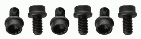 Винт сцепления SACHS 1874 000 057