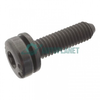 Болт з головкою системи TORX SWAG 30949401