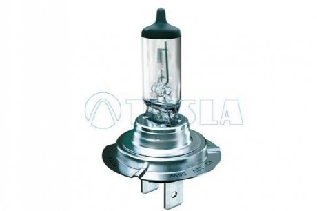 Автомобильная лампа TESLA B10701 (фото 1)