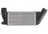 Интеркуллер THERMOTEC DAC006TT (фото 1)
